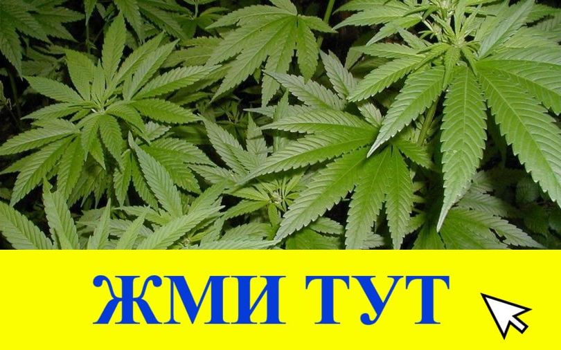 Купить наркотики в Тюкалинске